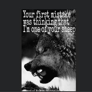 Meet your Posher, Wayne